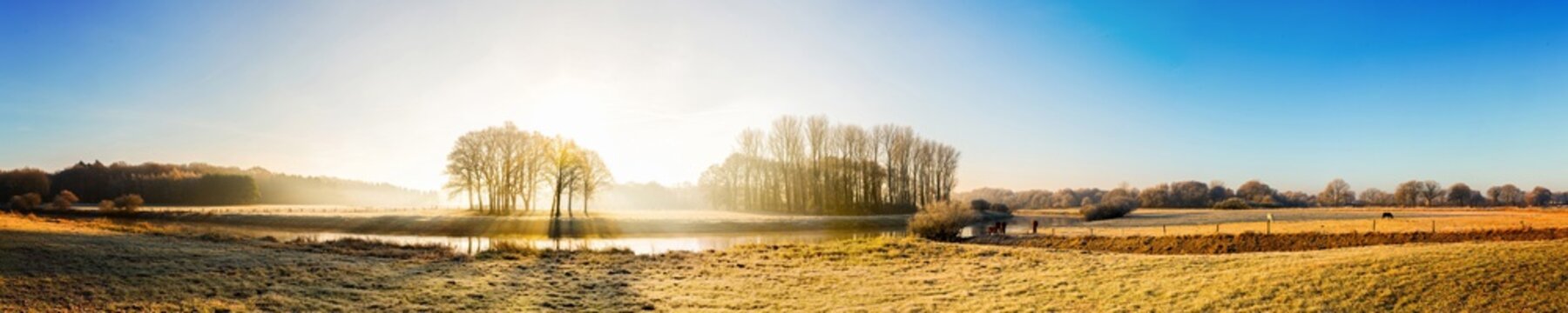 Beautiful panorama of an autumn landscape at sunrise with river, forest and horses on a meadow