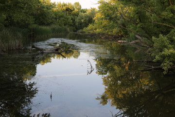 Water under a bridge