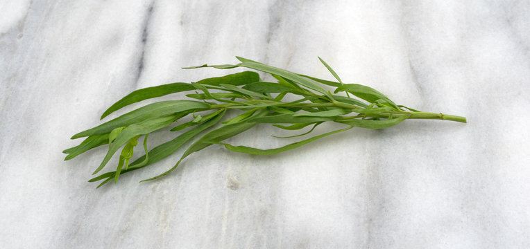 A small branch of organic tarragon leaves on a gray marble cutting board.