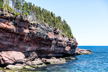 Cove beach in Bonaventure Island in Quebec, Canada in Gaspe, Gaspesie region with two grey seals