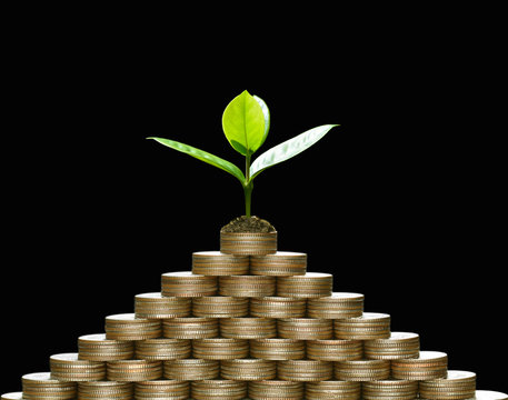 Image of pile of coins with plant on top for business, saving, growth, economic concept on black background