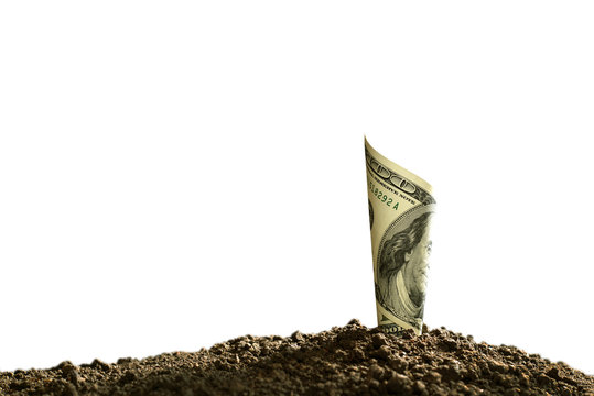 Image of rolled bank note on top of soil for business, saving, growth, economic concept isolated on white background