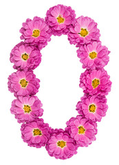 Arabic numeral 0, zero, from flowers of chrysanthemum, isolated on white background