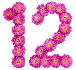 Arabic numeral 12, twelve, from flowers of chrysanthemum, isolated on white background