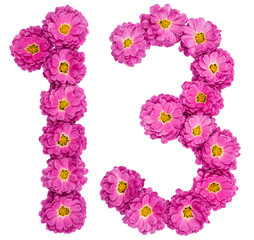 Arabic numeral 13, thirteen, from flowers of chrysanthemum, isolated on white background