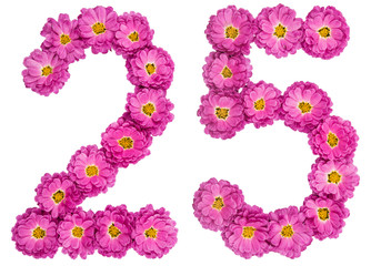 Arabic numeral 25, twenty five, from flowers of chrysanthemum, isolated on white background