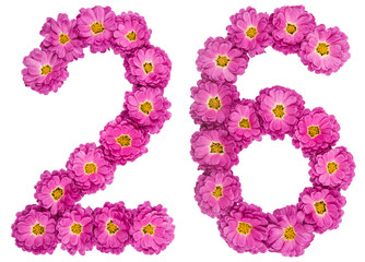 Arabic numeral 26, twenty six, from flowers of chrysanthemum, isolated on white background