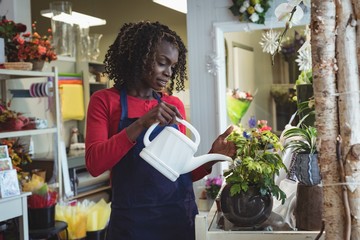 Female florist watering plants