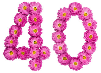 Arabic numeral 40, forty, from flowers of chrysanthemum, isolated on white background