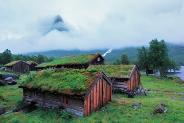 Norwegian grass roof old house