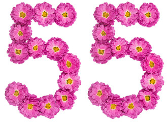 Arabic numeral 55, fifty five, from flowers of chrysanthemum, isolated on white background