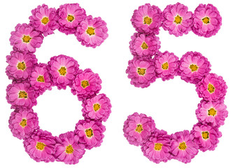 Arabic numeral 65, sixty five, from flowers of chrysanthemum, isolated on white background