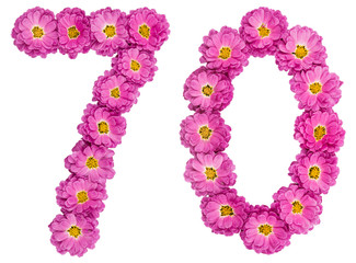 Arabic numeral 70, seventy, from flowers of chrysanthemum, isolated on white background