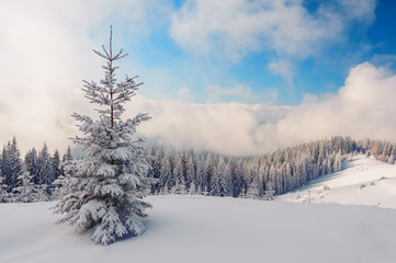 Fantastic winter landscape