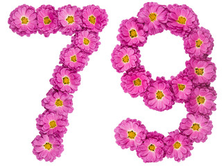 Arabic numeral 79, seventy nine, from flowers of chrysanthemum, isolated on white background