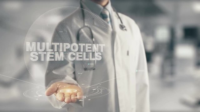 Doctor holding in hand Multipotent Stem Cells