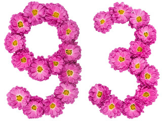Arabic numeral 93, ninety three, from flowers of chrysanthemum, isolated on white background