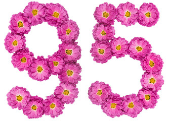 Arabic numeral 95, ninety five, from flowers of chrysanthemum, isolated on white background