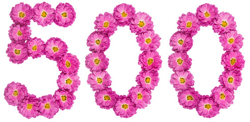 Arabic numeral 500, five hundred, from flowers of chrysanthemum, isolated on white background