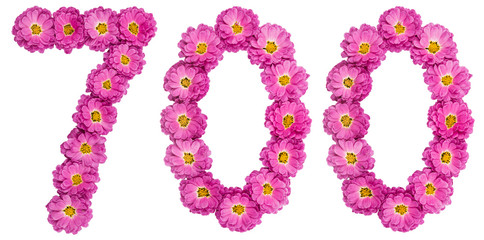 Arabic numeral 700, seven hundred, from flowers of chrysanthemum, isolated on white background