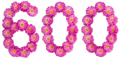 Arabic numeral 600, six hundred, from flowers of chrysanthemum, isolated on white background
