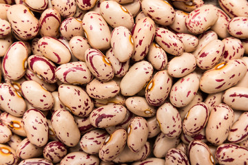 Sugar Bean legume. Closeup of grains, background use.