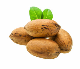 Single half of pecan, isolated on white background