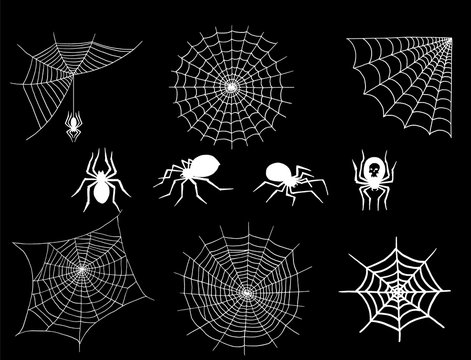 Spiders and spider web silhouette spooky nature halloween element vector cobweb decoration fear spooky net.