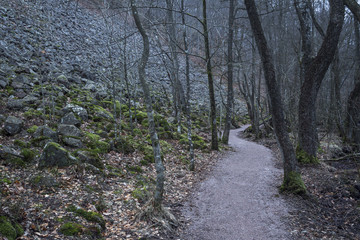 A natural curvy walking parth among trees and along a slope covered with stones. 