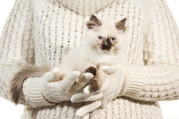 the kitten in the girl's hands