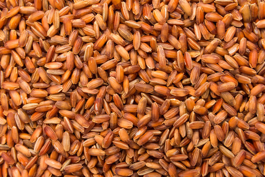 Bhutanese Red Rice seed. Closeup of grains, background use.