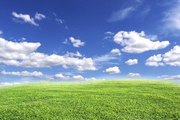 green field against blue sky