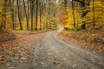 Fall Road