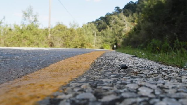 Traffic rules. Black scarab (beetle flesheater) crawling on side of highway, following receding figure of man. Idea for script of horror movie
