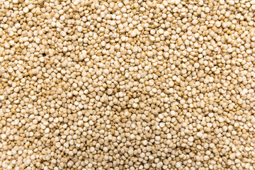 Golden Quinoa seed. Closeup of grains, background use.
