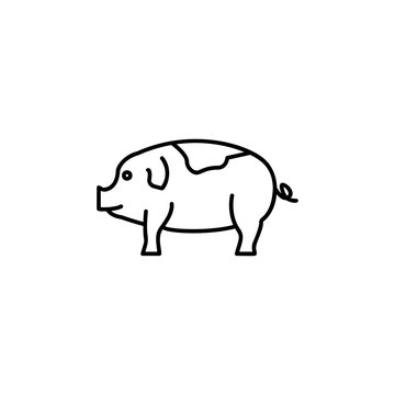 Pig line icon
