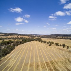 Obraz premium Harvest