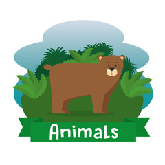wild animal cartoon vector illustration graphic design