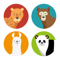set of wild animal cartoon vector illustration graphic design