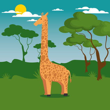 wild animal cartoon vector illustration graphic design