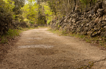 Country road with stone walls on the island of Cres