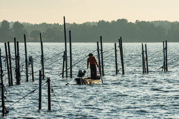 Fisherman finding fish on the boat in the morning