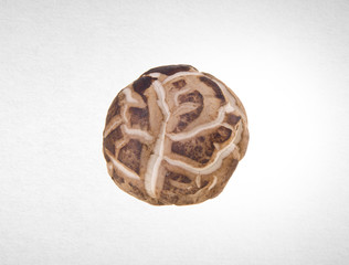 Mushroom or Dried Mushroom on a background.