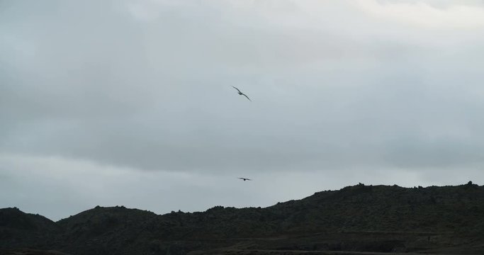 Coastal view, Hellnar, Iceland