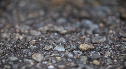 Stone Bokeh Path