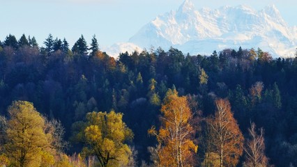 Herbst und Winter: Bäume und Schneeberge
