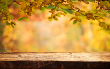 Naklejka na ściany i meble Autumn background table