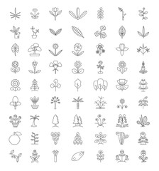 Tree Thin Line Icon Set