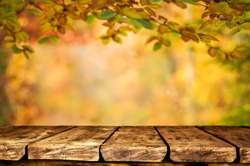 Naklejka na ściany i meble Autumn background table
