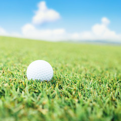 Golf ball on the grass and sky background,square crop.